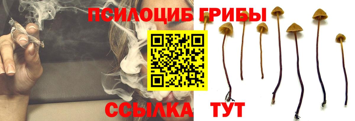 Ипатово  Псилоцибиновые грибы ЛСД  Псилоцибиновые грибы Psilocybe  Вход с VPN 